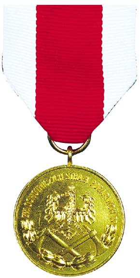 Złoty medal Za Zasługi dla Pożarnictwa